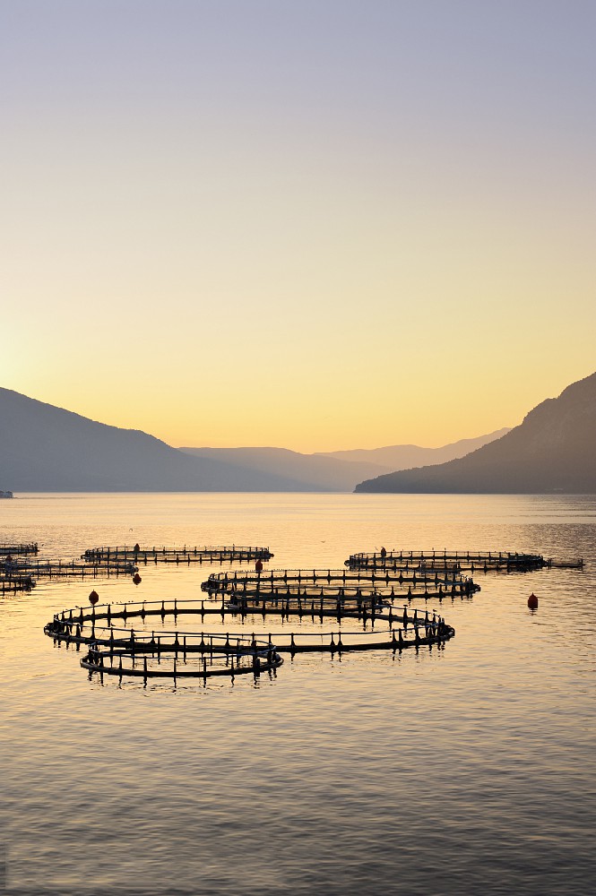物聯網技術在線水質監測
